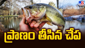 ప్రాణం తీసిన చేప.. మృతి వెనుక అసలేం జరిగింది ??