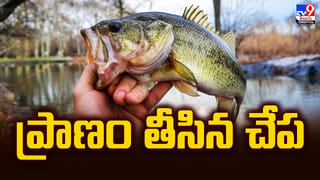 అర్చకుల విదేశీయానం ధర్మ విరుద్ధమా ??