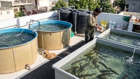 సెన్సేషన్ క్రియేట్ చేస్తున్న కొత్త బిజినెస్ ఐడియా