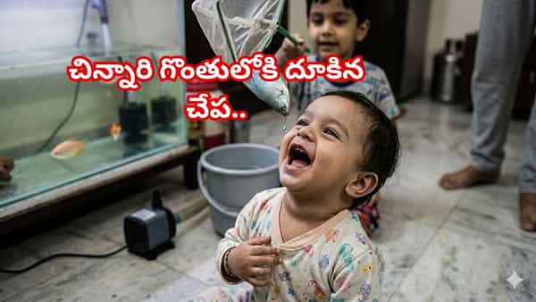 ఒళ్లు గగుర్పొడిచే సంఘటన.. అక్వేరియం శుభ్రం చేస్తుండగా చిన్నారి గొంతులోకి దూకిన చేప.. కట్ చేస్తే..