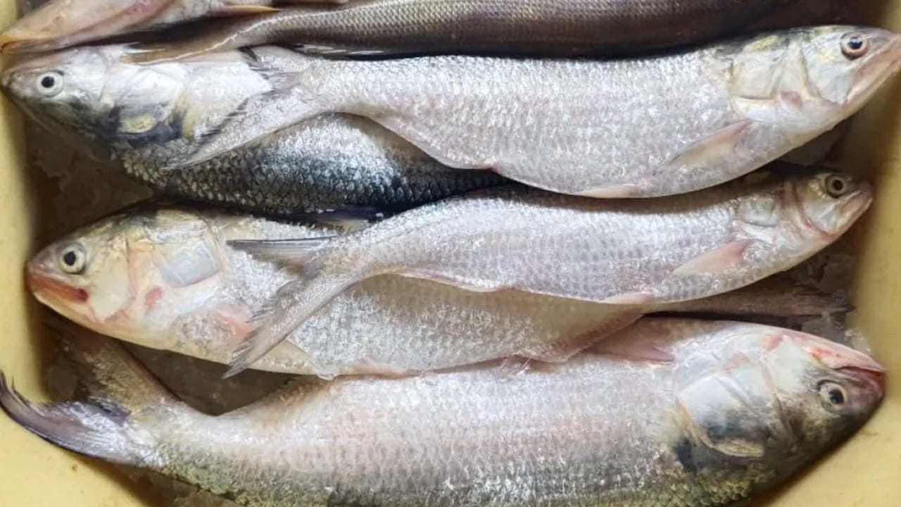  ఒక అధ్యయనం ప్రకారం ప్రమాదకర రసాయనాలను కలపడం వలన అవి తాజాగా  కనిపిస్తున్నాయి. వీటిని ఇలాగే తింటే, జీర్ణ సమస్యలు, క్యాన్సర్ వంటి ప్రమాదకరమైన వ్యాధులు కూడా వచ్చే అవకాశం ఉందని  పరిశోధకులు చెబుతున్నారు. 
