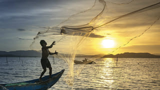 Optical illusion: మీకో సవాల్..  ఈ చిత్రంలో దాగి ఉన్న పక్షిని గుర్తిస్తే.. మిమ్మల్ని మించిన తోపులే లేరు!