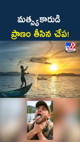 అయ్యో.. మత్స్యకారుడి ప్రాణం తీసిన చేప!