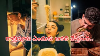 మండుటెండలతో ఇంట్లో ఉండలేకపోతున్నారా..? ఈ సింపుల్ టిప్స్‌ ట్రై చేశారంటే మీ ఇల్లు  స్విట్జర్లాండే!