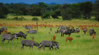 మీ బంగారు నగలకు పెద్ద శత్రువు ఈ చిన్న పదార్థం ! జస్ట్‌ టచ్‌చేస్తే చాలు.. ఐస్‌లా కరిగిపోవాల్సిందే..!