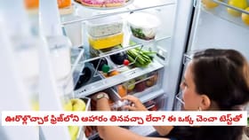 ఊరొళ్లొచ్చాక ఫ్రిజ్‌లోని ఆహారం తినవచ్చా లేదా? ఈ ఒక్క చెంచా టెస్ట