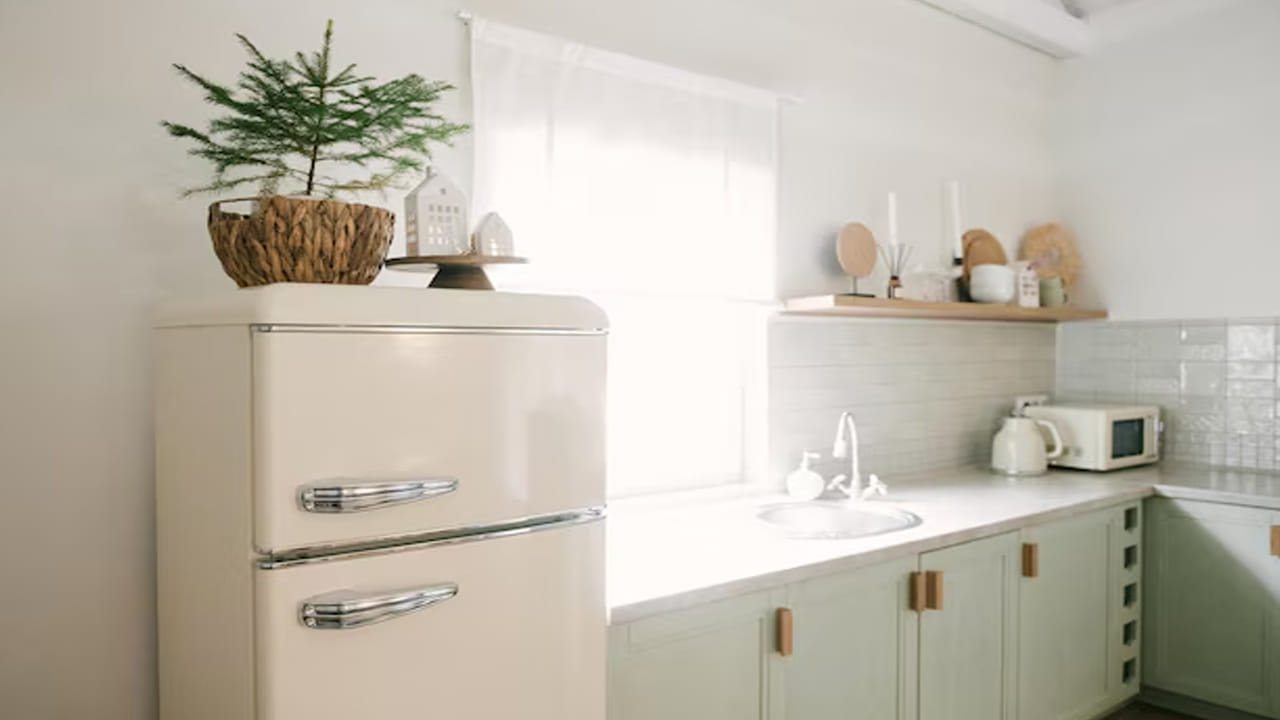 మొక్కలు (Plants): ఫ్రిజ్ పైన చిన్న చిన్న మొక్కలు లేదా వెదురు మొక్కలు ఉంచడం ఫ్యాషన్ అయిపోయింది. అయితే, ఫ్రిజ్ నుండి వెలువడే విద్యుత్ తరంగాలు మొక్కల పెరుగుదలను దెబ్బతీస్తాయి. వాడిపోయిన మొక్కలు ఇంట్లో ఉండటం వల్ల సానుకూల శక్తి తగ్గిపోతుంది.