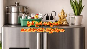 ఫ్రిజ్ పైన ఈ వస్తువులను ఉంచుతున్నారా? అయితే వాస్తు దోషం తప్పదు..