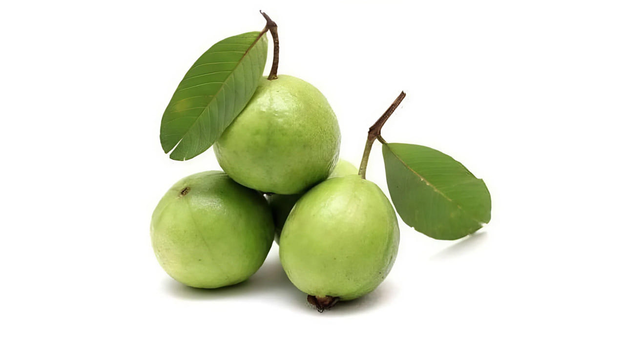 జామకాయ - సామాన్యుడి ఆపిల్: ధర తక్కువైనా ప్రయోజనాల్లో జామకాయే రారాజు. తక్కువ గ్లైసెమిక్ ఇండెక్స్ కలిగి ఉండటంతో పాటు, ఇందులో ఫైబర్ చాలా ఎక్కువగా ఉంటుంది. ఇది రక్తంలోని చక్కెరను గ్రహించి మలబద్ధకం వంటి సమస్యలను దూరం చేస్తుంది. జామకాయను క్రమం తప్పకుండా తీసుకోవడం వల్ల శరీరంలో ఇన్సులిన్ నిరోధకత తగ్గుతుంది. అంతేకాకుండా ఇందులోని పొటాషియం రక్తపోటును అదుపులో ఉంచుతుంది. మధుమేహ రోగులు మధ్యలో ఆకలి వేసినప్పుడు జామకాయను చిరుతిండిగా తీసుకోవడం వల్ల పొట్ట నిండిన అనుభూతి కలుగుతుంది మరియు అనారోగ్యకరమైన ఆహారం వైపు మనసు పోదు.
