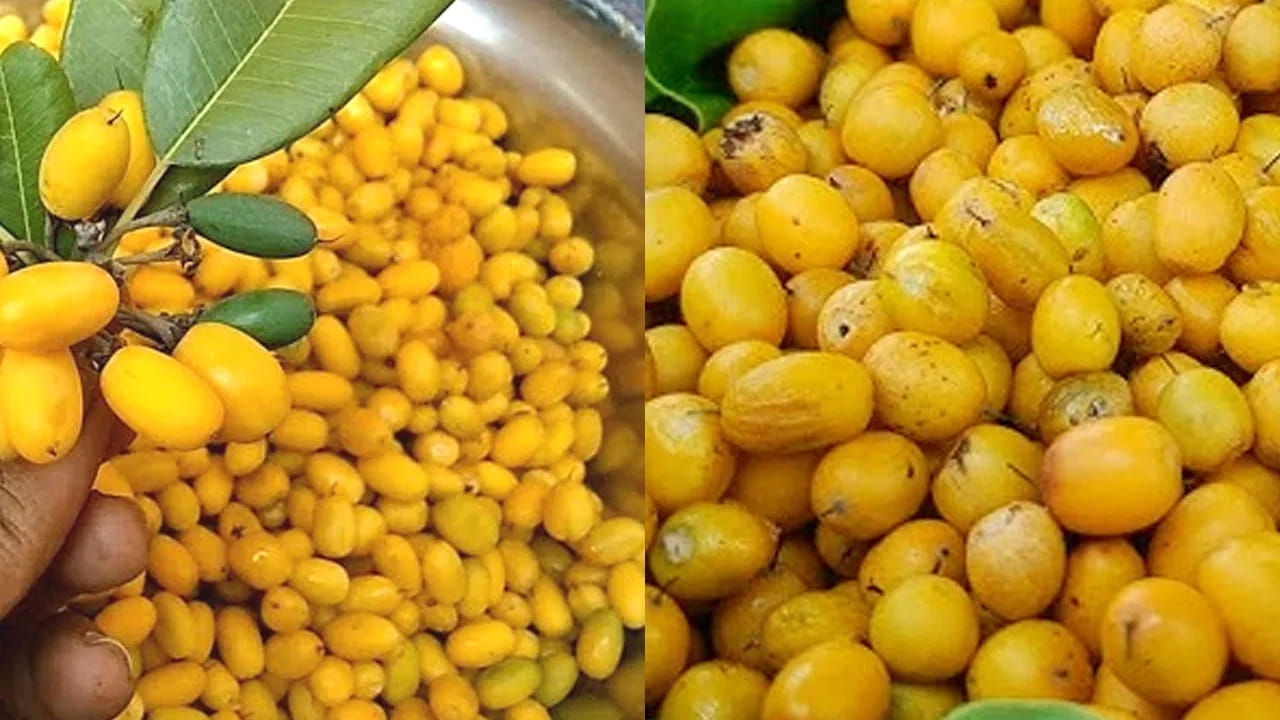 
ఏ పండ్లు మంచివి?

ఆయుర్వేదం ప్రకారం స్థానికంగా, కాలానుగుణంగా లభించే తాజా పండ్లు అత్యంత శ్రేష్ఠమైనవి. ఇవి శరీరానికి సహజంగా సరిపోతాయి. సులభంగా జీర్ణమవుతాయి.
ఉదాహరణలు: వేసవి: పుచ్చకాయ, మామిడి, బొప్పాయి, శీతాకాలం: ఆపిల్, జామ, నారింజ, వర్షాకాలం: దానిమ్మ, బేరి. 
ప్రాసెస్ చేసిన లేదా ప్యాక్ చేసిన పండ్ల కంటే తాజా పండ్లకే ప్రాధాన్యత ఇవ్వాలి.
