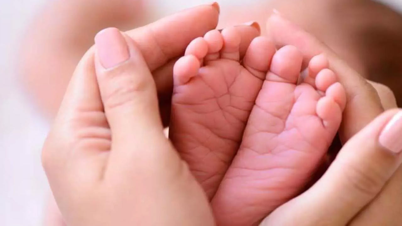 ప్రభుత్వ ఆస్పత్రుల్లో కూడా అత్యాధునిక సంతానోత్పత్తి చికిత్సలు విజయవంతంగా అందుతున్నాయని, పేదలకు ఆర్థిక భారం లేకుండా నాణ్యమైన వైద్యం అందించడమే ప్రభుత్వ లక్ష్యమని మంత్రి తెలిపారు. రాష్ట్ర ప్రజలు ప్రభుత్వ వైద్యసేవలను సద్వినియోగం చేసుకోవాలని సూచించారు.