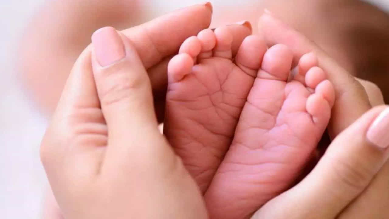 ప్రభుత్వ ఆస్పత్రుల్లో కూడా అత్యాధునిక సంతానోత్పత్తి చికిత్సలు విజయవంతంగా అందుతున్నాయని, పేదలకు ఆర్థిక భారం లేకుండా నాణ్యమైన వైద్యం అందించడమే ప్రభుత్వ లక్ష్యమని మంత్రి తెలిపారు. రాష్ట్ర ప్రజలు ప్రభుత్వ వైద్యసేవలను సద్వినియోగం చేసుకోవాలని సూచించారు.