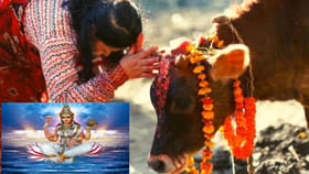 గంగా సప్తమి రోజు ఈ పని తప్పక చేయండి.. గోమాత కృపతో ధనవర్షం ఖాయం!