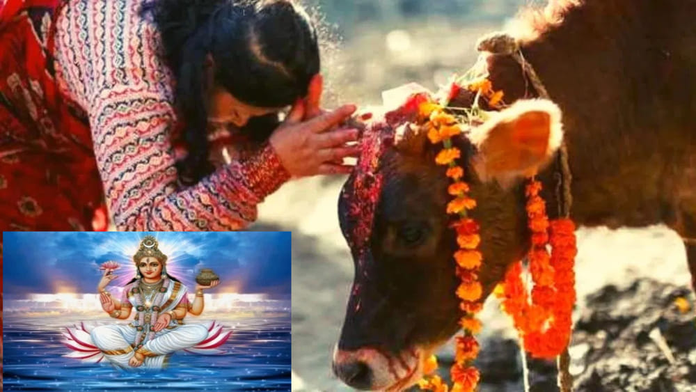 గంగా సప్తమి రోజు ఈ పని తప్పక చేయండి.. గోమాత కృపతో ధనవర్షం ఖాయం!