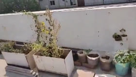 టెర్రస్‌పై గార్డెనింగ్ అనుకునేరు.. వాసన గుప్పుమనడంతో ..
