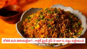 నోటికి రుచి తెలియట్లేదా?..గార్లిక్ ఫ్రైడ్ రైస్ ని పట్టు పట్టేయండి