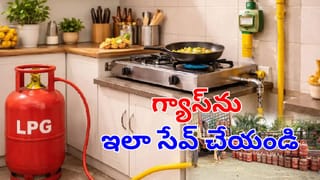 బాత్‌రూమ్‌, వాష్‌రూమ్‌, రెస్ట్‌రూమ్‌ కు తేడా ఏంటో తెలుసా? ఇప్పటికీ చాలామందికి తెలియని ఆసక్తికరమైన విషయాలు ఇవే!