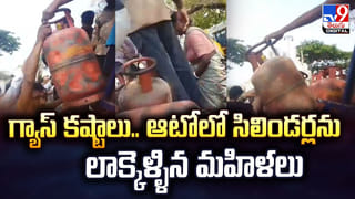 Mushroom: వామ్మో.. ఇది పుట్ట గొడుగా.. గొడుగా ??