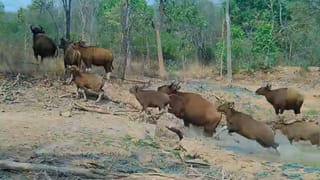 Video: ఒక్క ఫోన్ కాల్‌‌తో యువకుడిని చావు నుంచి కాపాడిన పోలీసులు.. అసలేం జరిగిందంటే..? వీడియో వైరల్..