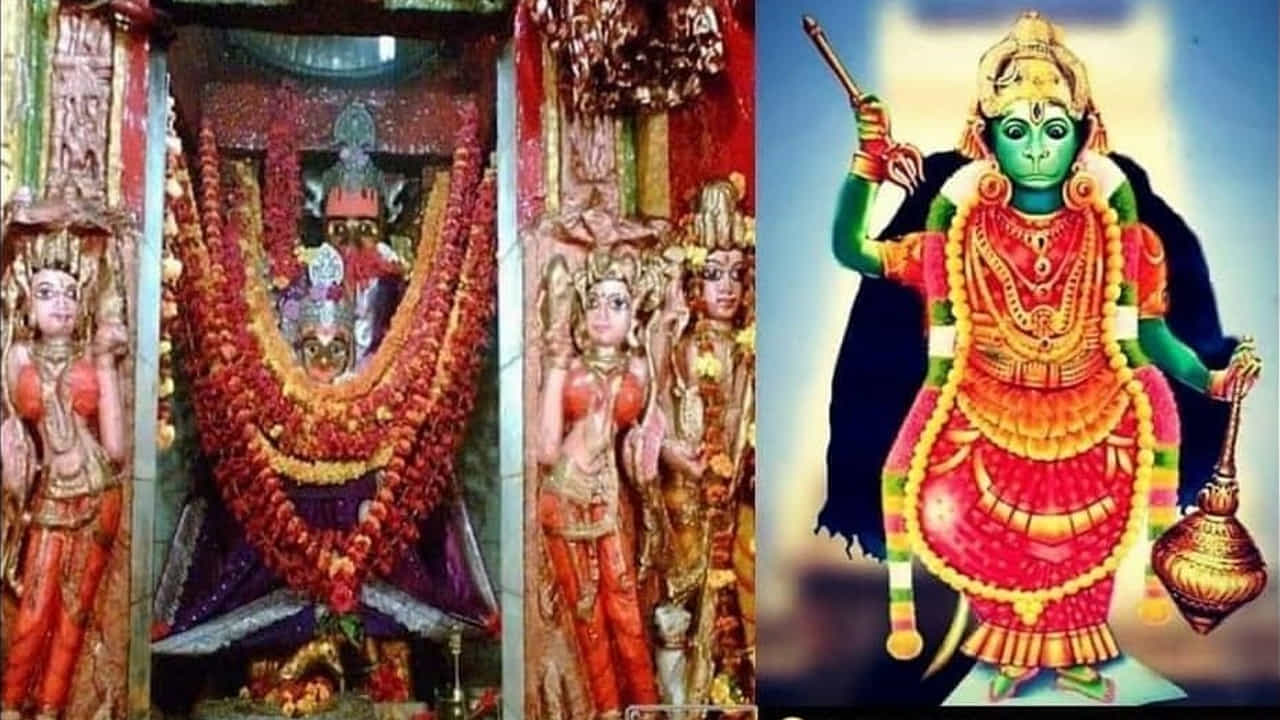 గిరిజాబంధ్ హనుమాన్, రతన్పూర్ (ఛత్తీస్గఢ్): Girijabandh Hanuman Templeహనుమంతుడు అనగానే మనకు గుర్తొచ్చే పరాక్రమ రూపానికి భిన్నంగా, మాతృత్వంతో కూడిన స్త్రీ రూపంలో స్వామి దర్శనమివ్వడం నిజంగా విశేషం. ప్రపంచంలోనే హనుమంతుడు స్త్రీ వేషంలో (స్త్రీ రూపంలో) పూజలందుకునే ఏకైక ఆలయం ఇది. ఇక్కడి విగ్రహం స్త్రీ రూపంలో ఉండి, భక్తుల కోరికలను నెరవేరుస్తుంది. ఛత్తీస్గఢ్లోని రతన్పూర్ మహా మాయా దేవి క్షేత్రంగా ప్రసిద్ధి చెందింది. అటువంటి శక్తి పీఠం ఉన్న చోట హనుమంతుడు కూడా స్త్రీ రూపంలో ఉండటం వెనుక ఉన్న చరిత్ర ఆసక్తికరంగా ఉంది. ఈ ఆలయంలోని విగ్రహం దక్షిణ ముఖంగా ఉంటుంది. విగ్రహం భుజాలపై శ్రీరాముడు, లక్ష్మణుడు కూర్చుని ఉన్నట్లుగా చెక్కబడి ఉంటుంది. స్త్రీ రూపంలో ఉన్నప్పటికీ, స్వామి పాదాల కింద అహిరావణుడు, మహిరావణుడు అణచివేయబడి ఉంటారు. ఇది దుష్టశిక్షణను సూచిస్తుంది. సంతానం లేని వారు, మొండి వ్యాధులతో బాధపడేవారు ఇక్కడ స్వామిని దర్శించుకుంటే సత్వర ఫలితం ఉంటుందని భక్తుల నమ్మకం. రాజు పృథ్వి దేజు కుష్టు వ్యాధి నయమవ్వడమే దీనికి నిదర్శనంగా భక్తులు భావిస్తారు.