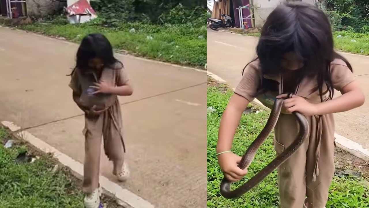 Shocking Video: చేతిలో పాము.. ముఖంలో చిరునవ్వు.. ఈ వీడియో చూస్తే వెన్నులో వణుకు పుట్టాల్సిందే!