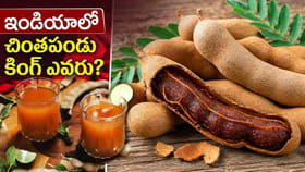 భారత్ లోని ఈ రాష్ట్ర చింతపండుకు ప్రపంచమే ఫిదా! దేశాల్లో హాట్ కేక్