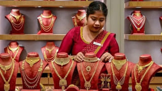 వేసవిలో మీ మొక్కలు పూల వనంలా మారాలా? ఇంట్లోనే ఈ మ్యాజికల్ లిక్విడ్ తయారు చేసుకోండి!