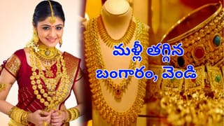 చేపలోని ఈ పార్ట్‌ అస్సలు వదలకండి..! చెప్పలేనన్నీ ఆరోగ్య ప్రయోజనాలు తెలిస్తే