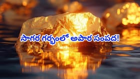 సముద్ర గర్భంలో బంగారు నిధి.. విలువ తెలిస్తే మైండ్ బ్లాక్ అవుతుంది