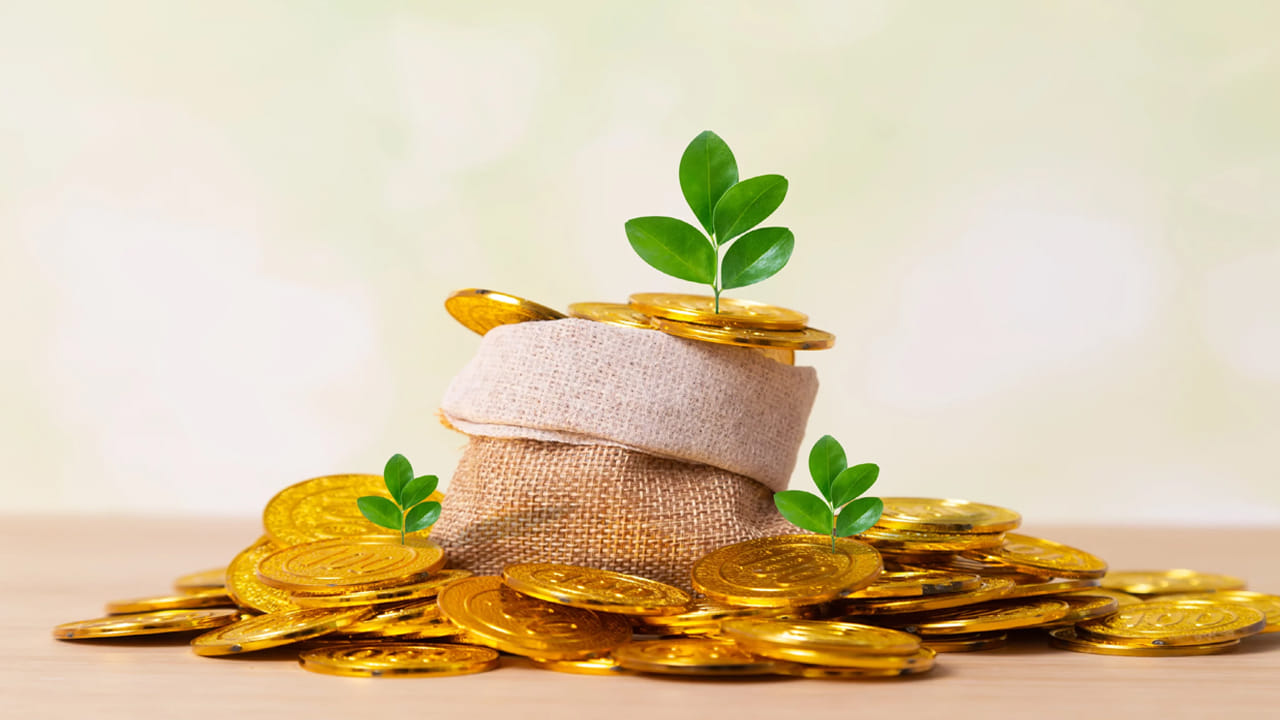 అయితే ప్రస్తుతం బంగారం ధరలు పెరగడంతో వాటిపై ఎక్కువ మొత్తం లోన్ పొందే అవకాశముంది. బంగారం మార్కెట్ విలువ, స్వచ్ఛతను అంచనా వేసి లోన్ అనేది మంజూరు చేశారు. లోన్ టు వాల్యూ రేషియో(LTV) ఆధారంగా ఎంత వస్తుందనేది లెక్కిస్తారు. ఎల్‌టీవీని ఆర్బీఐ నిర్ణయిస్తుంది. బంగారం ధరల పెరిగితే ఎక్కువ మొత్తంలో రుణం పొందవచ్చు.
