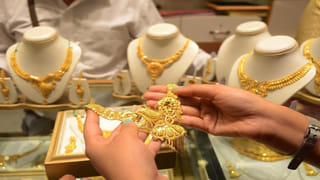 Best Coolers: ఏ కూలర్ వాడితే గది ఏసీలా చల్లబడుతుంది? విద్యుత్ ఆదా చేసే కూలర్ ఏదో తెలుసుకోండి!