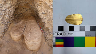 వార్నీ కోడి కాళ్లను ఇలా కూడా వాడొచ్చా అక్క? దోస్త్‌కి ఇష్టమైన ఫ్లవర్‌ బొకే.. తయారీ చూశారంటే కళ్లు తేలేస్తారు!