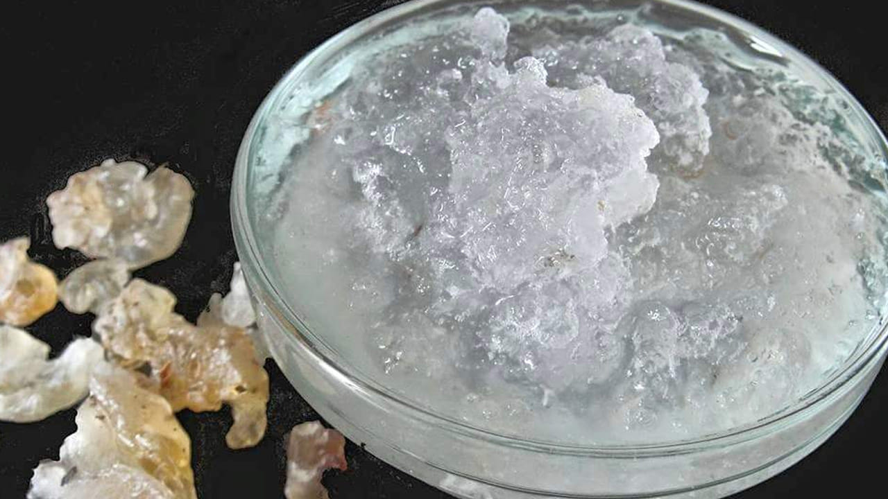 ప్రీబయోటిక్ గుణాలు: గోండ్ కటిర అనేది గోధుమ బంక వంటిది. ఆస్ట్రాగాలస్ ప్రొపింకస్ అనే నాచు రకం మొక్కల వేర్ల నుంచి సేకరిస్తారు. జిగట పదార్థంగా కనిపించే దీనికి వాసన, రుచి ఏమీ ఉండదు. దీనిని నీటిలో లేదా పాలల్లో వేస్తే కొద్దిగా కరిగి జెల్లీలాగా మారుతుంది. గోందు కటిరాలో ఉండే పాలీశాకరైడ్లు పేగుల్లో ఉండే మంచి బ్యాక్టీరియాకు ఆహారంగా పనిచేస్తాయి. ఆరోగ్యకరమైన బ్యాక్టీరియా పెరగడం వల్ల జీర్ణక్రియ సాఫీగా సాగుతుంది. శరీర రోగనిరోధక శక్తి పెరుగుతుంది. గోందు కటిరాకు అద్భుతమైన శీతలీకరణ గుణాలు ఉన్నాయి. వేసవిలో దీనిని తీసుకోవడం వల్ల శరీర ఉష్ణోగ్రత నియంత్రణలో ఉంటుంది. తద్వారా వడదెబ్బ (Heat Stroke) తగిలే ప్రమాదం తగ్గుతుంది.