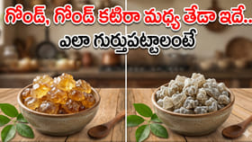 గోండ్, గోండ్ కటిరా మధ్య తేడా ఇదే.. ఎలా గుర్తుపట్టాలంటే