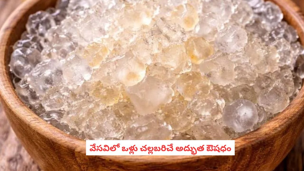 Summer Health: ఈ సమ్మర్లో కష్టపడకుండా బరువు తగ్గాలంటే.. దీన్ని మించిందే లేదు.. రాసి పెట్టుకోండి