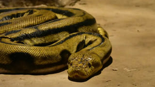 మీ పిల్లల జీవితాన్ని మార్చే 20 సెకన్ల మ్యాజిక్! ఈ పేరెంటింగ్ రూల్ గురించి తప్పక తెలుసుకోండి..