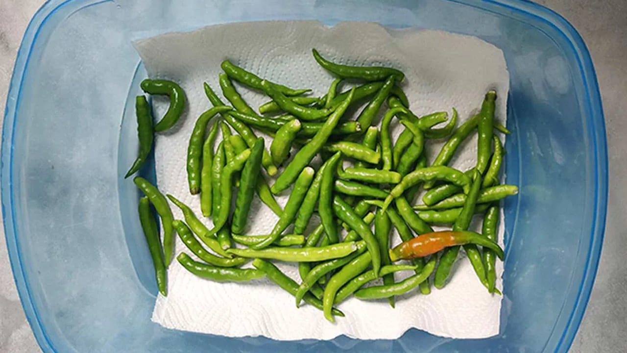 టిష్యూ పేపర్ వాడకం: ఒక ప్లాస్టిక్ లేదా గాజు డబ్బాను తీసుకుని అందులో టిష్యూ పేపర్ ఉంచండి. ఇది లోపల ఉండే తేమను (Moisture) పీల్చుకుని మిర్చిని పొడిగా ఉంచుతుంది. మీరు టిష్యూ పేపర్‌కు బదులుగా అల్యూమినియం ఫాయిల్ కూడా వాడవచ్చు. ఇది కూడా మిర్చిని గాలి తగలకుండా తాజాగా ఉంచడానికి తోడ్పడుతుంది.