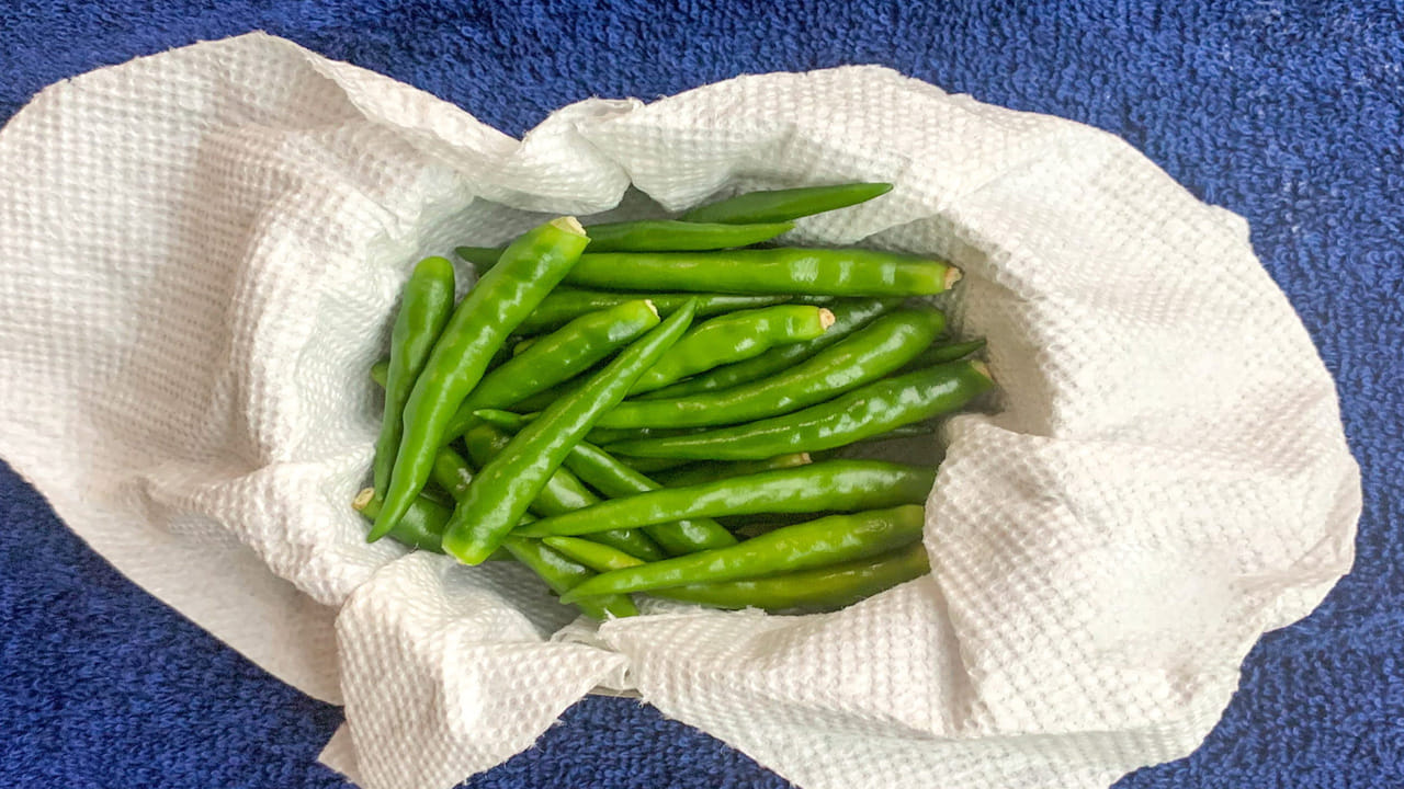 తడి లేకుండా ఆరబెట్టడం: మిర్చిని కడిగిన తర్వాత ఒక పొడి బట్టపై వేసి పూర్తిగా ఆరనివ్వాలి. ఒక్క చుక్క నీరు ఉన్నా అది కుళ్లిపోవడానికి కారణమవుతుంది. మిర్చిని కడిగిన తర్వాత గాలికి పూర్తిగా ఆరనివ్వాలి. ఒక్క చుక్క నీరు ఉన్నా అది మిర్చిని మెత్తబడేలా చేస్తుంది. వీలైతే పొడి బట్టతో ప్రతి మిర్చిని తుడవడం మంచిది.