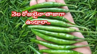 60 ఏళ్ల వయస్సులో స్కూల్ బ్యాగ్ పట్టుకున్న అమ్మమ్మలు.. మహారాష్ట్రలో అద్భుత పాఠశాల!