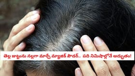 తెల్ల జుట్టును నల్లగా మార్చే మ్యాజిక్ పౌడర్.. నూనెతో కలిపి రాస్త