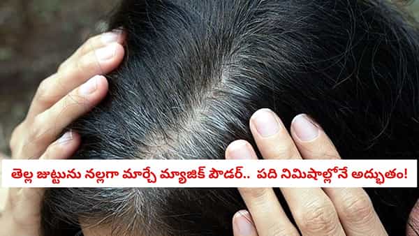 Grey Hair Remedy: కాఫీ పొడితో ఇంట్లోనే సహజమైన హెయిర్ డై.. రసాయనాలు లేకుండా మీ జుట్టును పట్టులా మెరిపించండిలా!