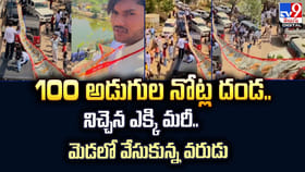 100 అడుగుల నోట్ల దండ.. నిచ్చెన ఎక్కి మరీ.. మెడలో వేసుకున్న వరుడు