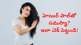 హెయిర్‌పాల్‌తో సమస్యా.. ఈ 5 సూపర్ ఫుడ్స్‌ మీ డైట్‌లో ఉంటే..