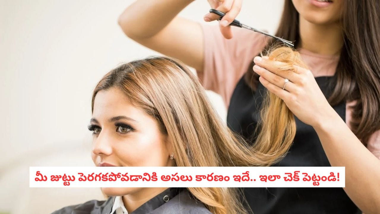 Hair Growth Tips: తరచుగా కత్తిరిస్తే జుట్టు పెరుగుతుందా? నిపుణులు చెబుతున్న షాకింగ్ నిజాలివే!