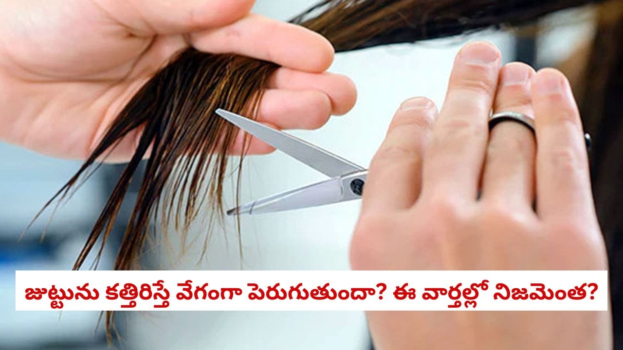 Hair Growth Tips: మీ జుట్టు రాకెట్ వేగంతో పెరగాలంటే ఎప్పుడు కత్తిరించుకోవాలి? ట్రిమ్మింగ్ వెనుక ఉన్న అసలు రహస్యం ఇదే