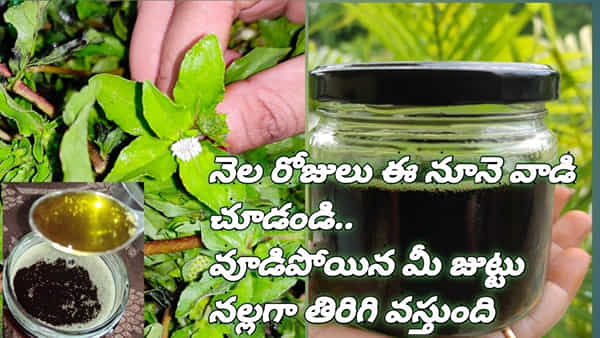 నెల రోజులు ఈ నూనె వాడి చూడండి.. జుట్టు ఎంత ఒత్తుగా మారిపోతుందో..