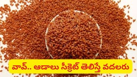 కొవ్వును కోసి పడేస్తాయ్.. ఈ గింజల సీక్రెట్ తెలిస్తే వదలరు