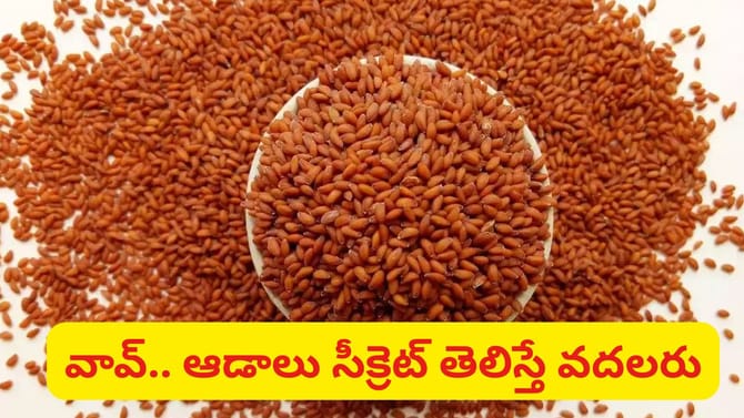 కొవ్వును కోసి పడేస్తాయ్.. ఈ గింజల సీక్రెట్ తెలిస్తే వదలరు