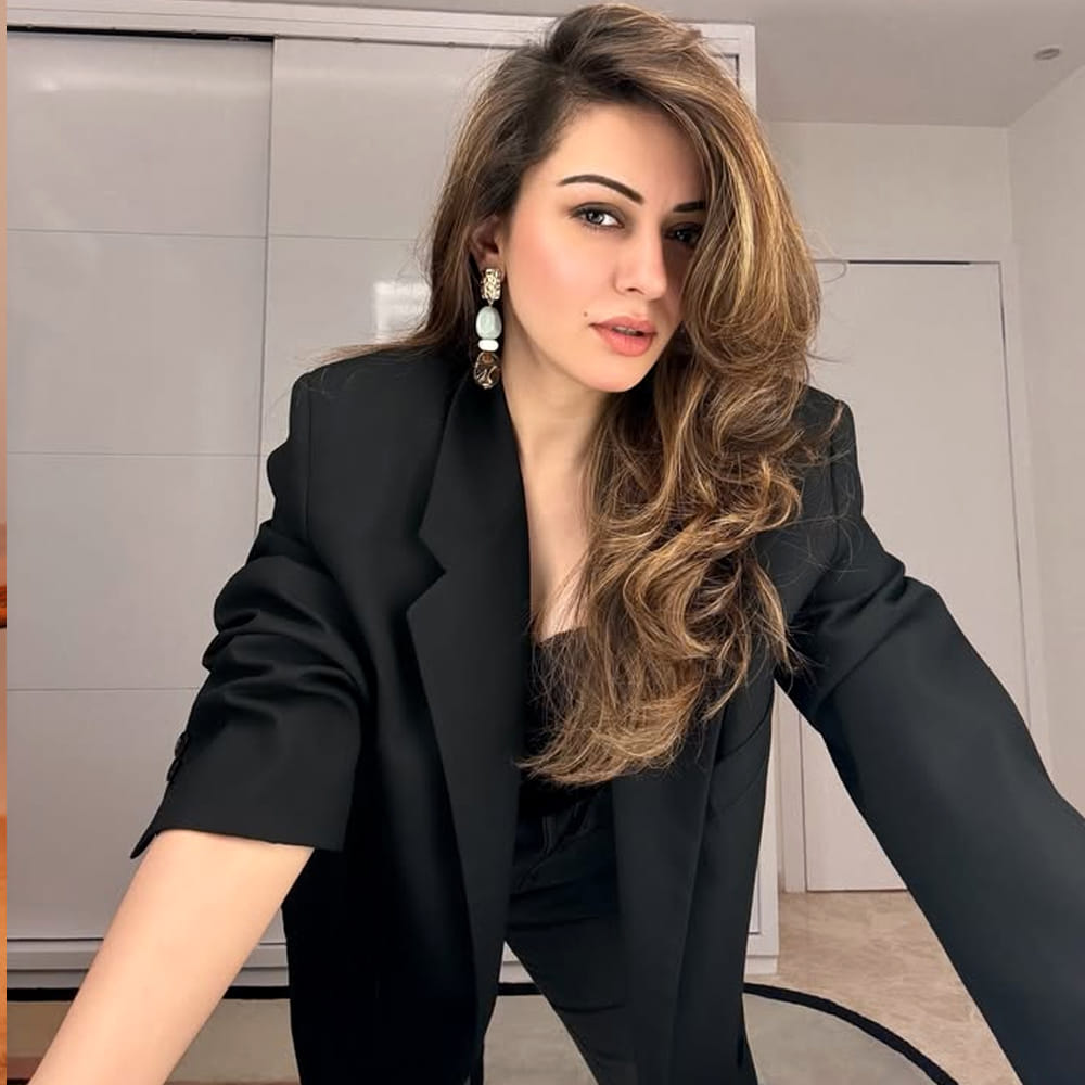 తెలుగు, తమిళ్, హిందీ భాషల్లో సినిమాలు చేసి ఆకట్టుకుంది ఈ అమ్మడు.. 2022 డిసెంబర్‌ 4న జైపూర్ ప్యాలెస్ లో వ్యాపారవేత్త సోహెల్‌ ఖతూరియా ప్రేమించి పెళ్లాడింది. పెళ్లి తర్వాత సినిమాలకు గ్యాప్ ఇచ్చింది. అయితే పెళ్లైన 4 ఏళ్లకే విడాకులు తీసుకుంది. 