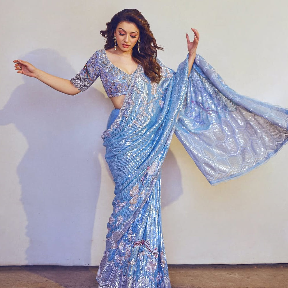 హన్సిక సోదరుడు ప్రశాంత్ మోత్వానీ భార్య నాన్సీ జేమ్స్ గత కొంతకాలంగా సోషల్ మీడియా వేదికగా హన్సిక కుటుంబంపై తీవ్ర విమర్శలు చేస్తున్నారు. తన అత్తగారి ఇంట్లో గృహహింసకు గురయ్యానని, మానసిక వేధింపులు ఎదుర్కొన్నానని ఆమె పలుమార్లు ఆవేదన వ్యక్తం చేశారు. ఈ ఆరోపణలు నెట్టింట వైరల్ కావడంతో హన్సిక ఇమేజ్‌పై ప్రభావం పడింది.